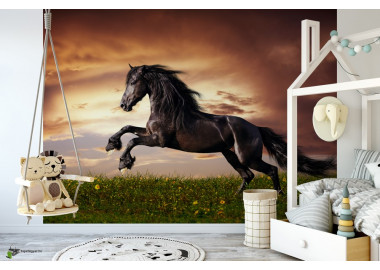 Állatos poszter TPALL011